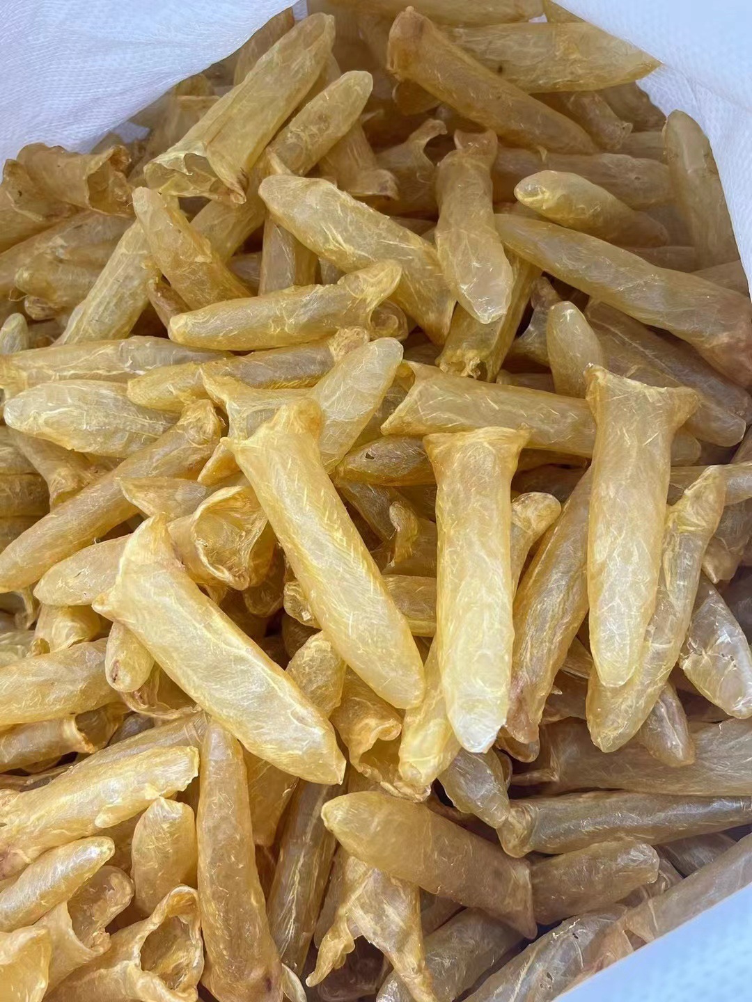 足干正品黃花筒魚膠 孕婦滋補(bǔ)與送禮佳品