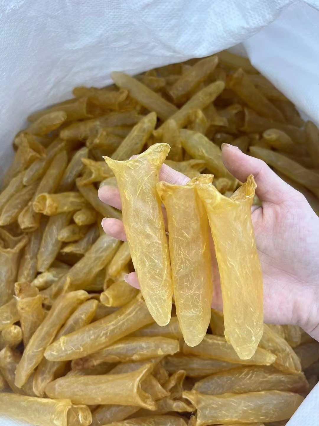 足干正品黃花筒魚膠 孕婦滋補(bǔ)與送禮佳品