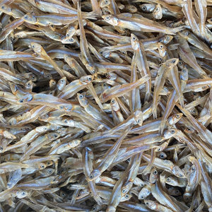 北海銀魚仔 鮮美海味，干貨之選——最新批發(fā)報(bào)價(jià)與市場(chǎng)指南