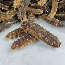 六排刺海參 深海珍饈，滋補佳品