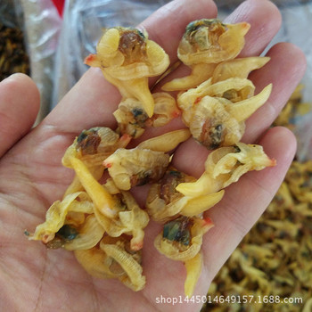 北海特產(chǎn)海味干貨批發(fā) 干海螺肉與花甲螺干，品質(zhì)源頭直供